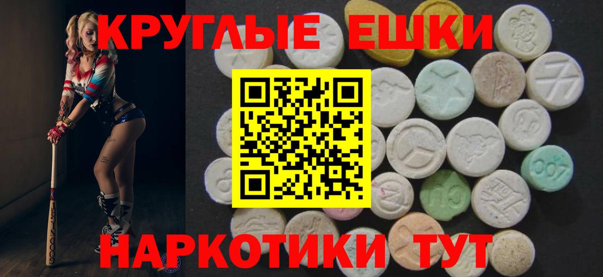 Ecstasy Philipp Plein  Ecstasy Punisher  Ecstasy  Вход с VPN  Елабуга 
