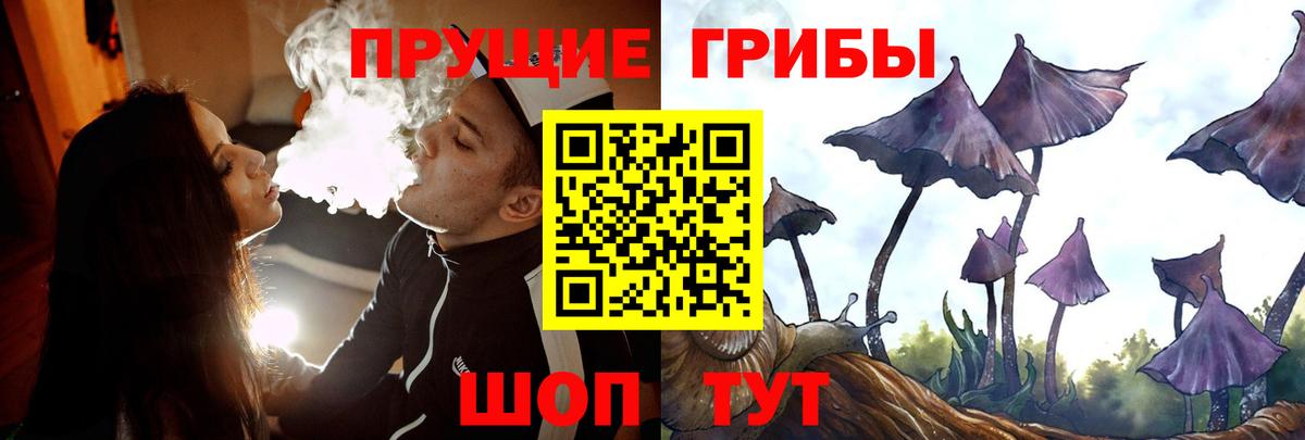 Елабуга  Галлюциногенные грибы прущие грибы  где найти   Вход с VPN  Псилоцибиновые грибы Psilocybine cubensis 